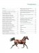 Рисуем лошадей. Руководство фото книги маленькое 3