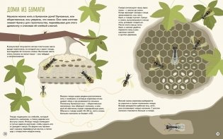 Что внутри? Как устроены дома животных фото книги 6