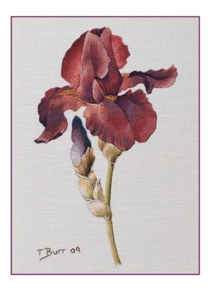 Оттеночное вышивание гладью. Мотивы с цветами и птицами фото книги 5