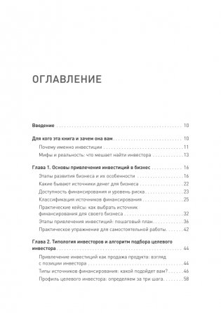 Инвестиционный трамплин. Как привлечь деньги в бизнес фото книги 3