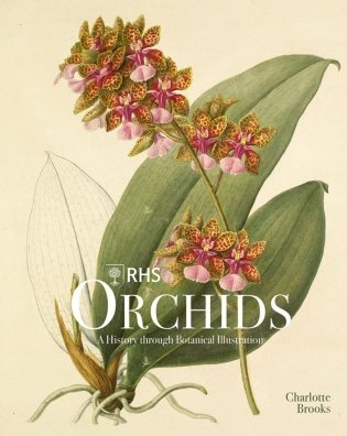 RHS Orchids фото книги