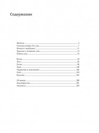 Суп дня: Супы, бульоны, пюре, а также хлеб, крутоны, гренки. 120 живительных рецептов фото книги 2