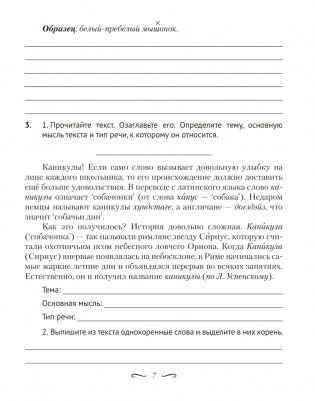 Русский язык. 5 класс. Рабочая тетрадь фото книги 4