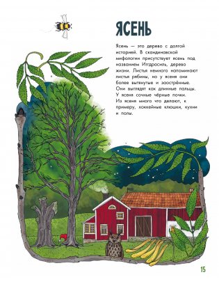 Деревья фото книги 5