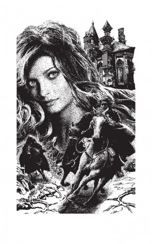 Северная невеста фото книги 3