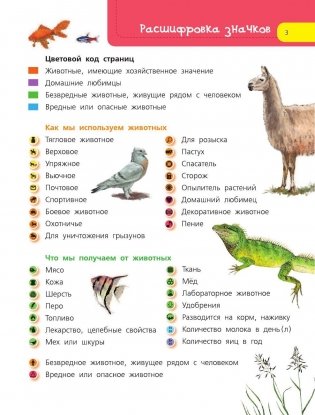 Домашние животные фото книги 4