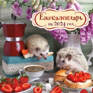 жекалендарь (клубничка). Календарь настенный на 2024 год (170х170) фото книги