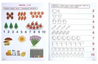 Пособие Состав числа. 5-7 лет фото книги 4