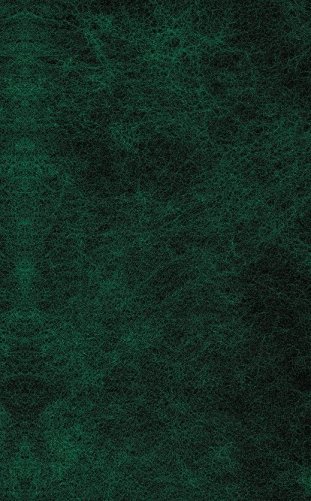 Белый Клык. Лучшие повести и рассказы о животных фото книги 9