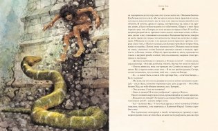 Книга джунглей фото книги 6