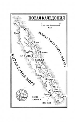 Золотой жук мисс Бенсон фото книги 7