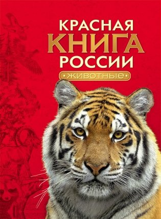 Красная книга России. Животные фото книги