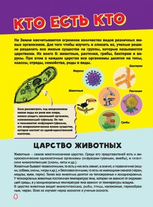 Моя первая большая книга о животных фото книги 10