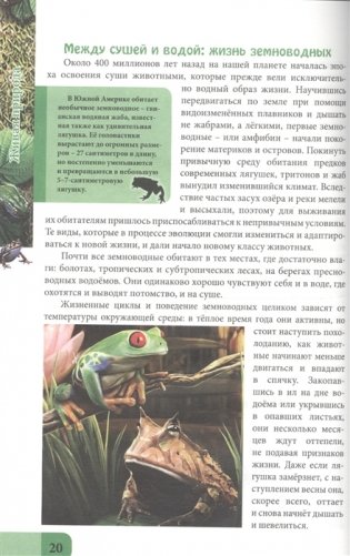 Живая природа фото книги 4