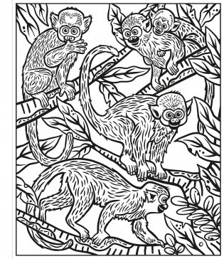 Rainforest Magic Painting Book фото книги 5