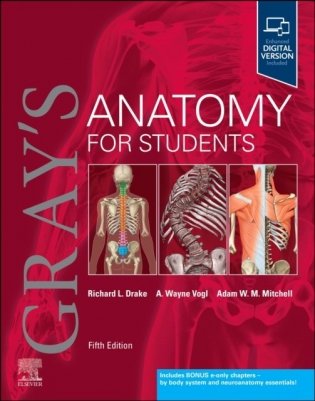 Gray's Anatomy for Students, 5th Edition фото книги