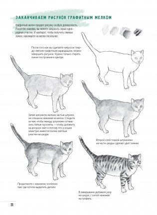Создаем наброски животных и птиц шаг за шагом. Скетчбук начинающего художника (зеленый, зебра) фото книги 6