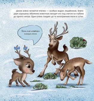 Финляндия. Страна тысячи озёр фото книги 3