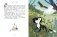Котёнок, который всего боялся. Сказки премудрой совы фото книги маленькое 7