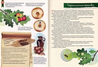 Кто где живёт? Звери и птицы леса фото книги 2