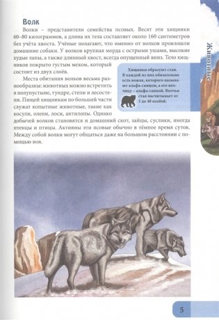 Энциклопедия. Хищники фото книги 6
