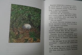 Курочка, которая мечтала летать фото книги 5