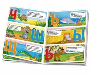 Животный мир. Азбука фото книги 2