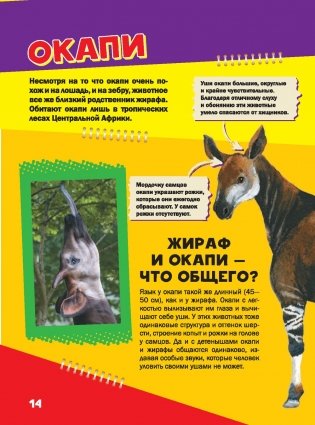 Моя первая большая книга о животных фото книги 4