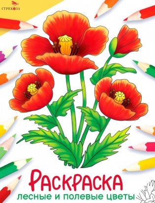 Лесные и полевые цветы: раскраска фото книги