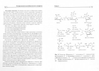 Патофизиология метаболического синдрома фото книги 2