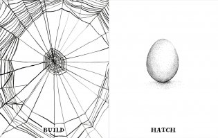 The Wild Unknown Journal фото книги 6