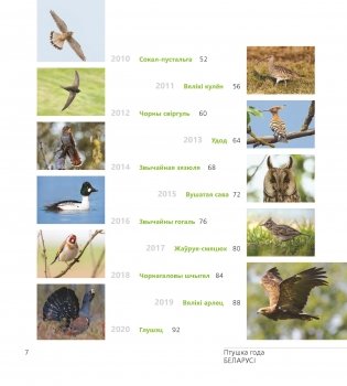 Птушка года Беларусі 2000—2020 фото книги 5