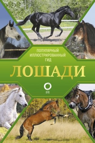 Лошади. Иллюстрированный гид фото книги