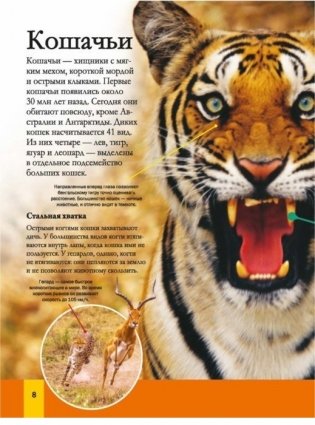 Животные фото книги 3