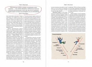Что бы сказал Ницше. Как великие философы решили бы ваши проблемы фото книги 6