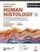 Inderbir singh`s textbook of human histology, 11th edition фото книги маленькое 2