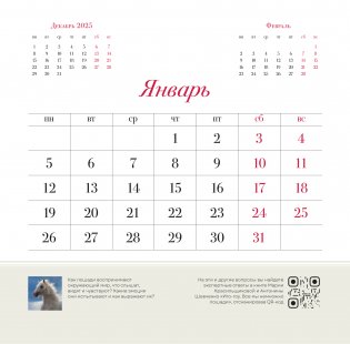 Символ года "Огненная лошадь". Настенный календарь на 2026 год фото книги 3