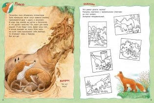 Кто живёт в лесу? Книжка-активити с развивающими заданиями, головоломками, наклейками фото книги 2