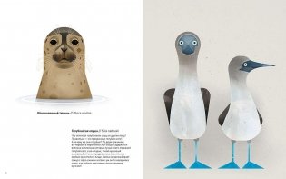 Животные Севера фото книги 9