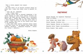 Пушистые снежные сказки фото книги 6