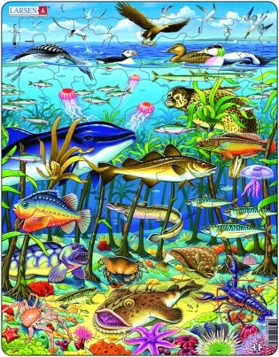 Пазл "Водоросли" (60 элементов) фото книги