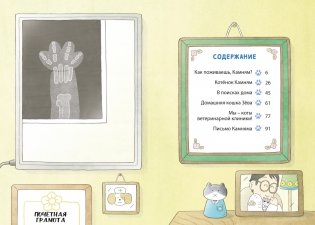 Доктор Камням фото книги 2