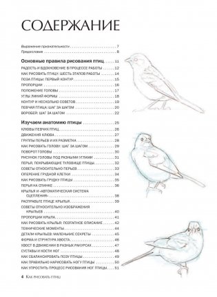 Как рисовать птиц. Руководство фото книги 2