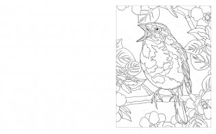 Colour by Numbers: Animal Kingdom фото книги 5