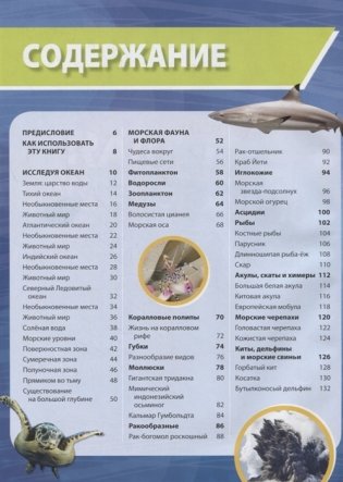 Большая энциклопедия океана фото книги 2
