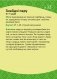 Разумнейка. Развіваючыя карткі. 4 - 7 гадоў. Словы, склады, літары фото книги маленькое 9