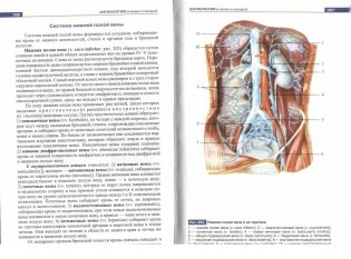 Атлас анатомии человека фото книги 5