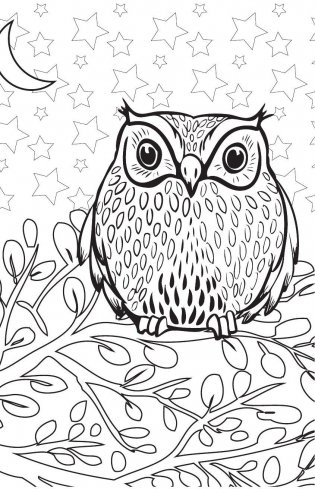 Удивительные животные. Мини-раскраска-антистресс для творчества и вдохновения фото книги 8