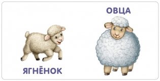 Книжки - картонки. Малыши и мамы фото книги 4