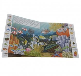 Животные и растения морей и океанов фото книги 3